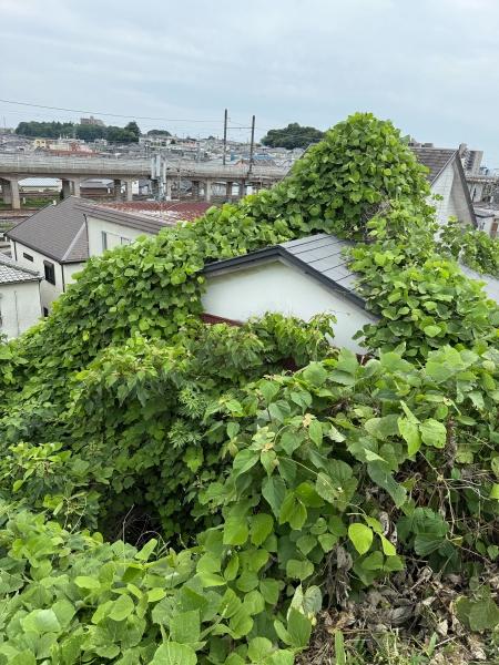 松戸市大谷口の中古一戸建て