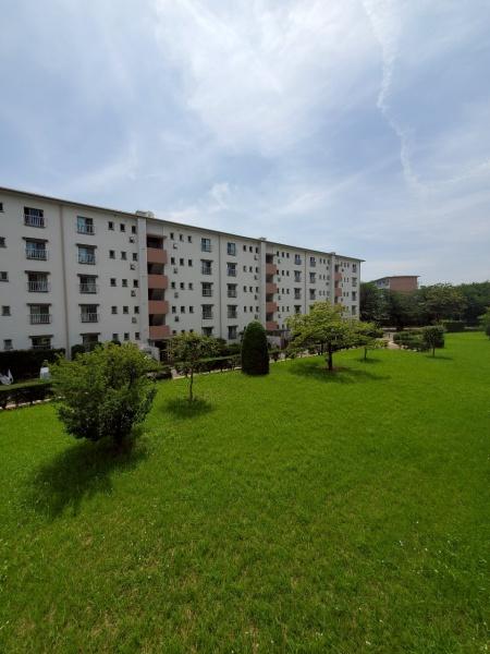 花見川団地７－１７号棟