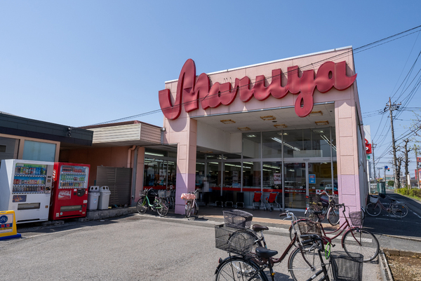 春日部市一ノ割１丁目の土地(マルヤ春日部南店)