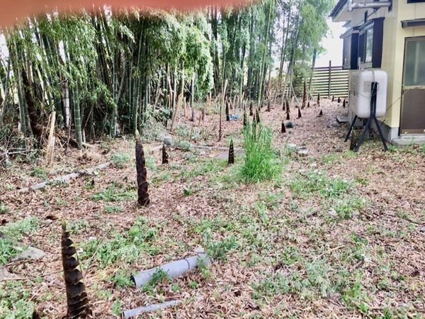 真岡市亀山の中古一戸建て