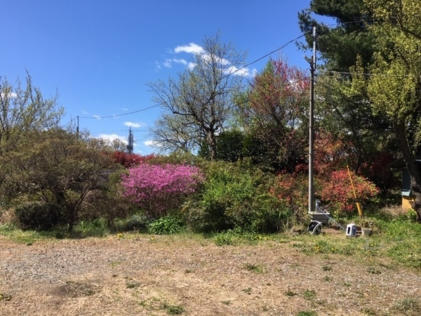 真岡市亀山の中古一戸建て