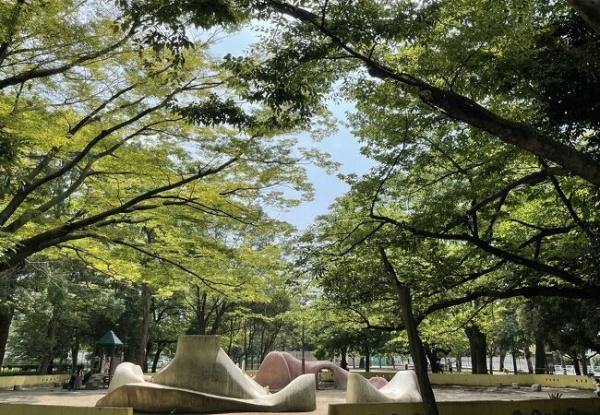 東急ドエルアルス薬円台公園(薬円台公園)