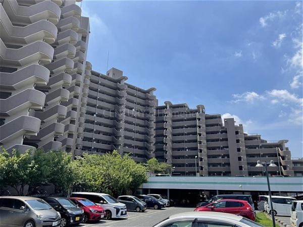 ルミナス八潮参番館　2階