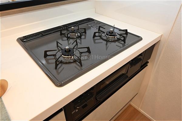 パークフィールドみさとテラ・ウエスト2街区1号館　10階