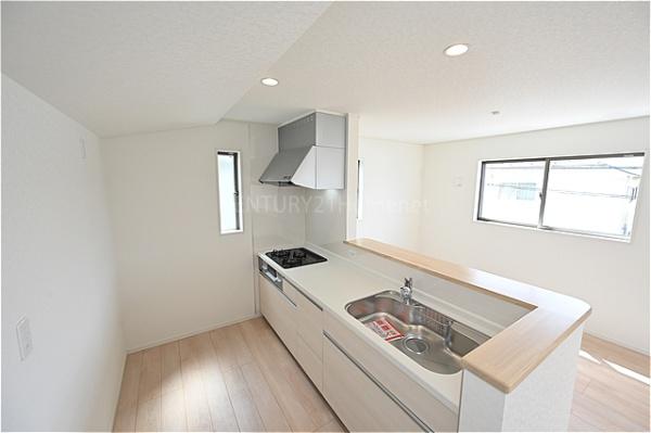 三郷市番匠免第8全1棟　新築戸建　1号棟