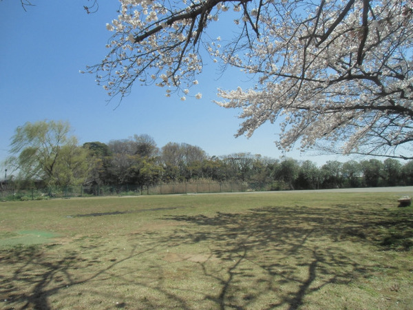 三郷市戸ケ崎5丁目の土地(戸ケ崎5丁目ちびっ子広場)