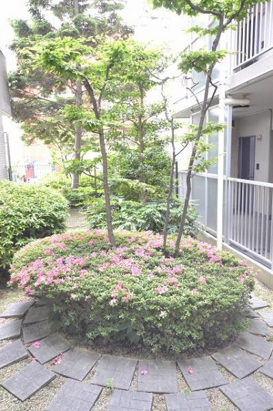 藤和シティコープみさと公園Ⅱ