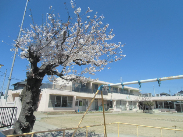 三郷市戸ケ崎第55全1棟 新築戸建 1号棟(コビープリスクールみさととがさき)