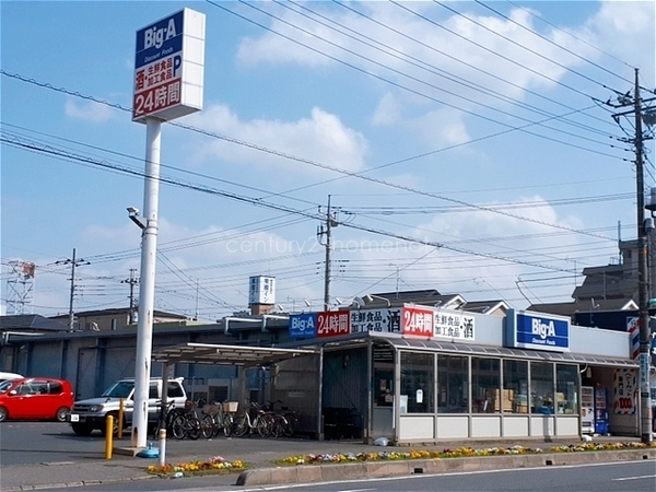 ウッドライク三郷 4階(ビッグ・エー三郷駅前店)