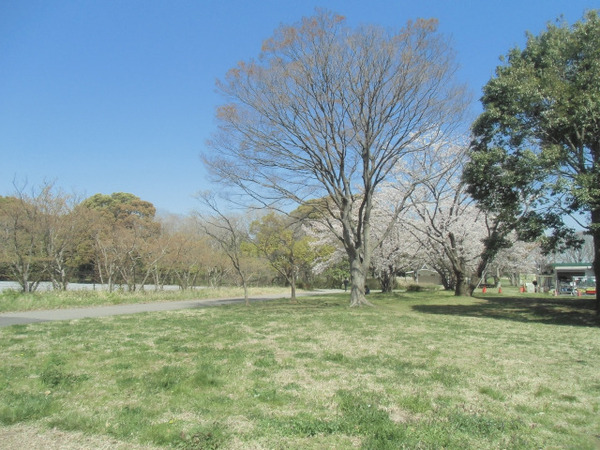 三郷市鷹野9期全2棟 新築戸建 2号棟(水元公園)