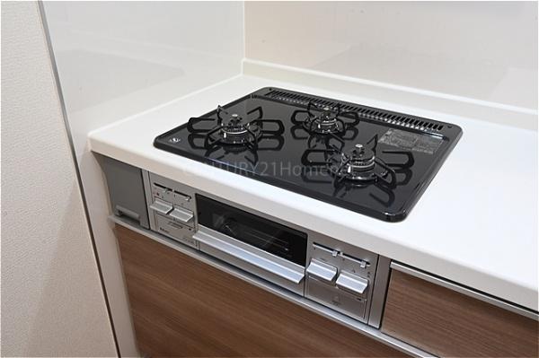 三郷市彦成17期全1棟　新築戸建　1号棟