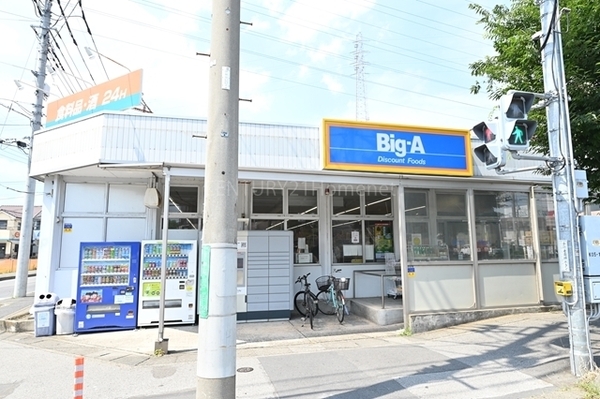 ルミナス八潮参番館 2階(ビッグ・エー八潮店)