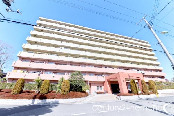 エフローレ新三郷216　9階