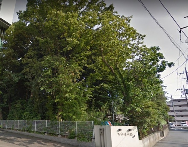三郷市東町4期全1棟 新築戸建 1号棟(栄光けやきの森(認定こども園))