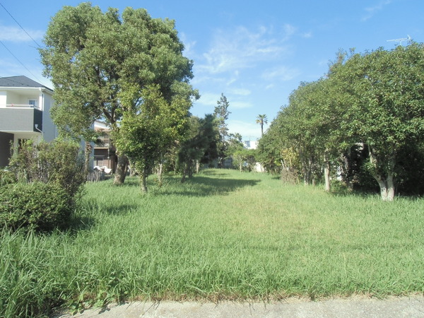 三郷市鷹野10期全2棟　新築戸建　1号棟(みどりの広場)