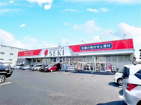 グランテラス水元公園　2階(ドラッグストアセキ三郷戸ヶ崎店)
