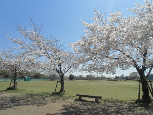 三郷市戸ケ崎第57全1棟　新築戸建　1号棟(八潮南公園)