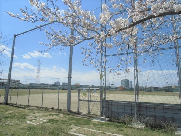 三郷市後谷1期全1棟　新築戸建　1号棟(半田運動公園)