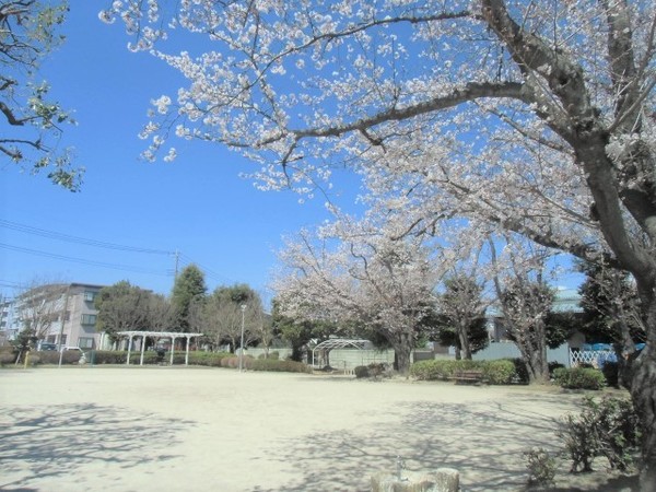 ライフペリエ三郷　1階(カトレア公園)