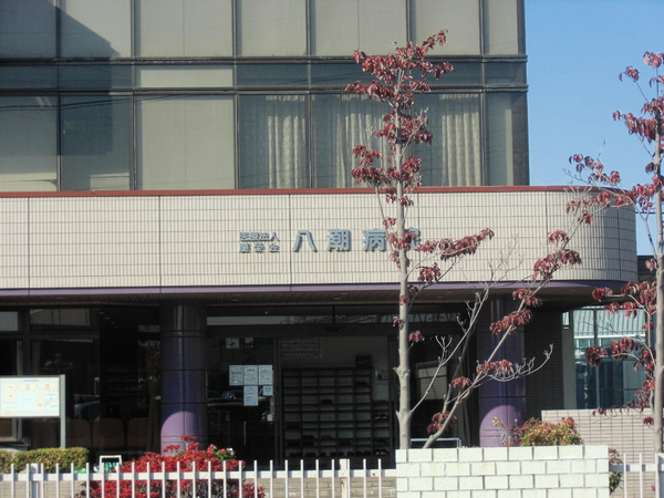 八潮市柳之宮全1棟　新築戸建　1号棟(八潮病院)