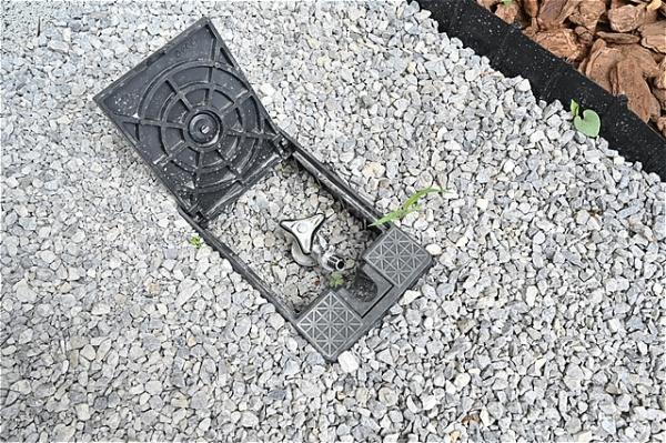 八潮市柳之宮全1棟　新築戸建　1号棟