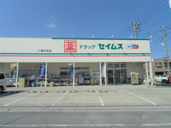 八潮市八潮6丁目全3棟　新築戸建　2号棟(ドラッグセイムス八潮中央店)