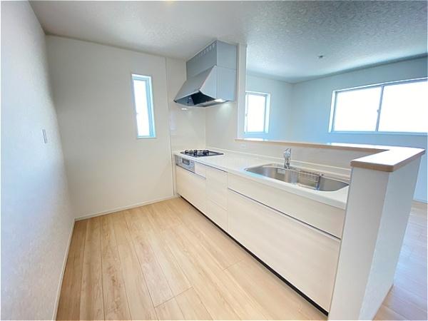 八潮市大曽根第21全1棟　新築戸建　1号棟