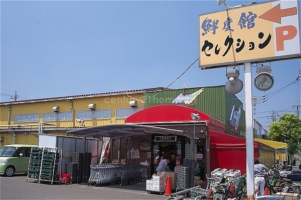 八潮市八潮5期全2棟　新築戸建　2号棟(セレクション　八潮店)