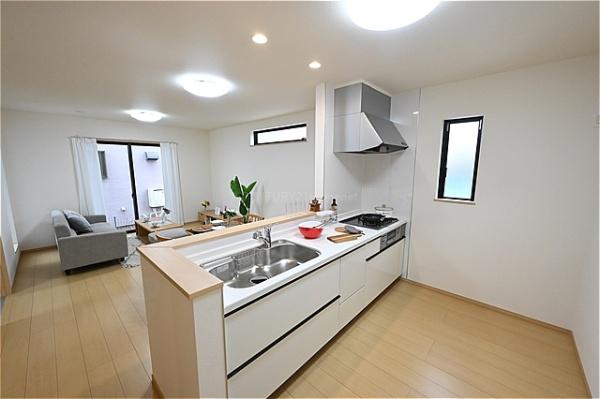 三郷市東町全1棟　新築戸建　A号棟