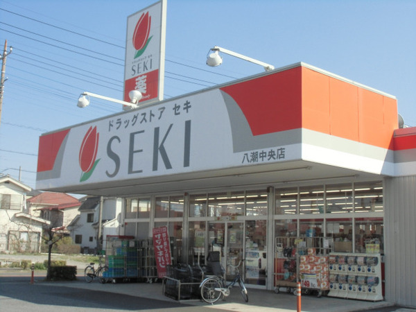 八潮市八潮七丁目全2棟　新築戸建　2号棟(ドラッグストアセキ八潮中央店)