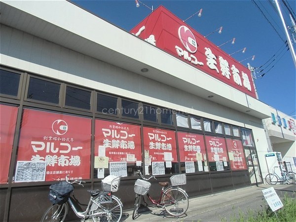 ライオンズマンション草加東　7階(マルコー生鮮市場稲荷店)