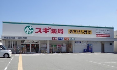 加古川市野口町長砂の土地(スギ薬局東加古川店)
