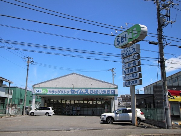 ハイネス南林間(ドラッグセイムスひばりが丘店)