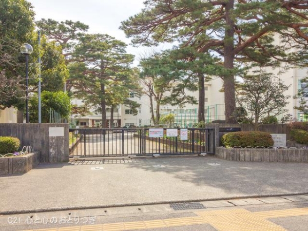 相模原市中央区相生１丁目の土地(相模原市立弥栄中学校)