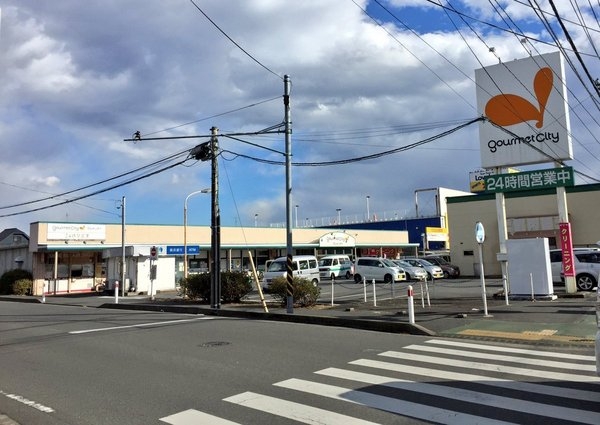 相模原市中央区緑が丘1丁目の中古一戸建て(グルメシティ光が丘店)