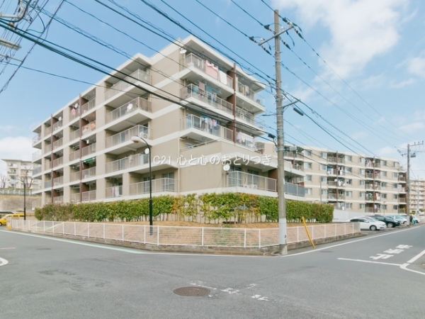 ライオンズマンション青葉台