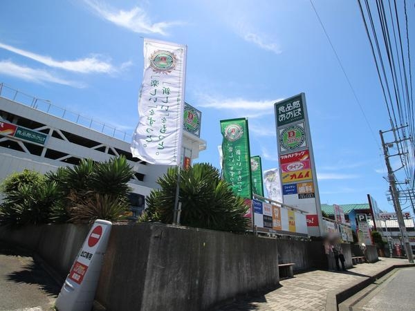 エステスクエアさがみ野ウエストガーデン(ツルハドラッグライズモール座間ひばりが丘店)
