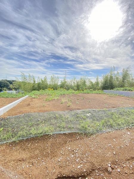 横浜市泉区新橋町　新築戸建　全23棟　5号棟
