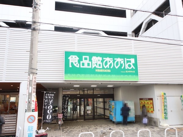 グリーンビレッジひばりが丘(食品館あおばひばりが丘店)