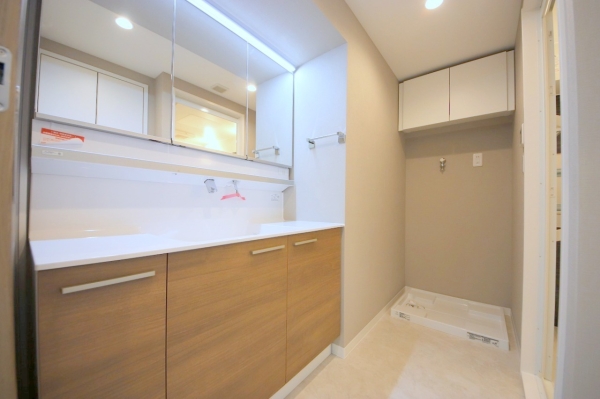 プラザシティ相模大野4号棟(洗面台・洗面所)