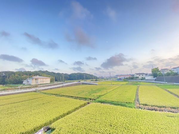藤沢市石川　新築戸建　全３棟　3号棟