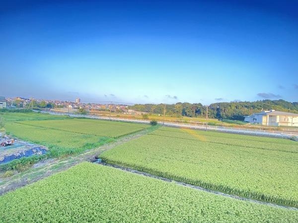 藤沢市石川　新築戸建　全３棟　１号棟