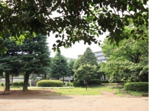 コトーつきみ野(つきみ野1号公園)