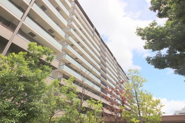 ドレッセ中央林間エバーコート
