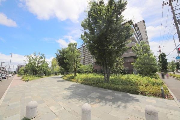 ドレッセ中央林間エバーコート