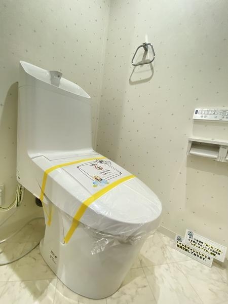 県ドリームハイツ17号棟(トイレ)