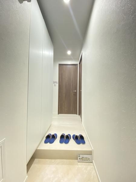 県ドリームハイツ17号棟(玄関)