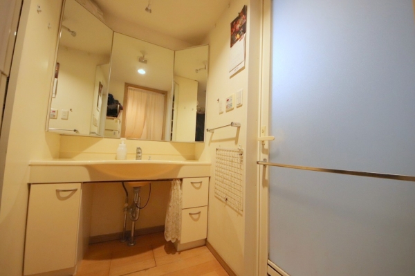 ダイアパレス鶴間II