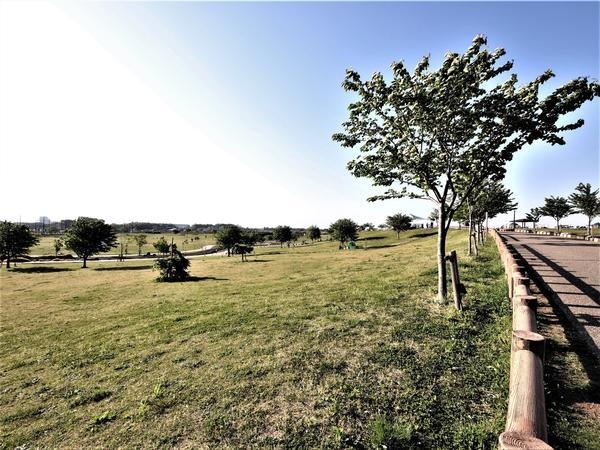 大和市福田第3　新築分譲住宅　1号棟(大和ゆとりの森)