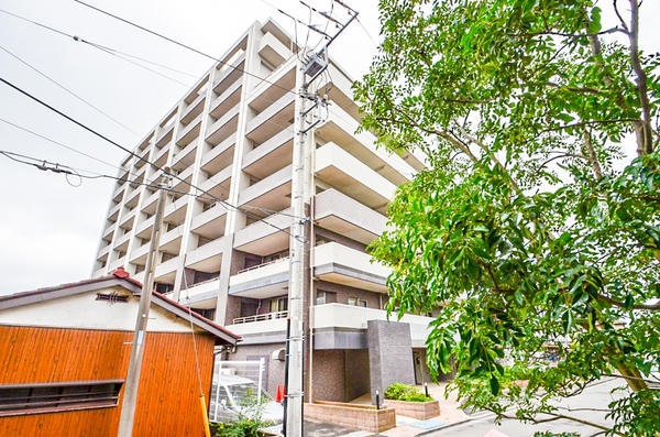 シーズガーデン大和